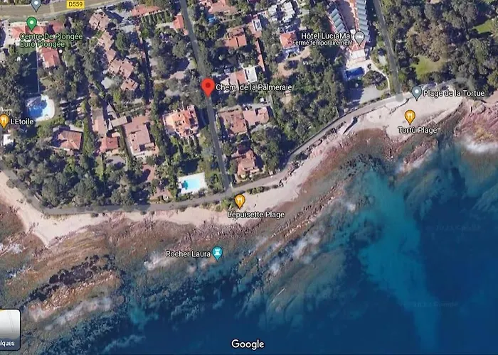 Jardin Piscine Climatisatisation Acces Apartament Saint-Raphaël